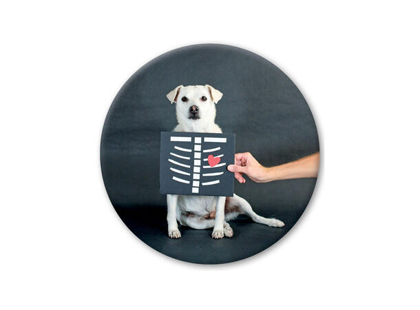 Pickmotion magnet  X-Ray Dog / Love Me 5,6 cm
