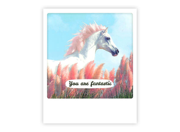 Pickmotion postkort - You are fantastic Pickmotion - Postkort