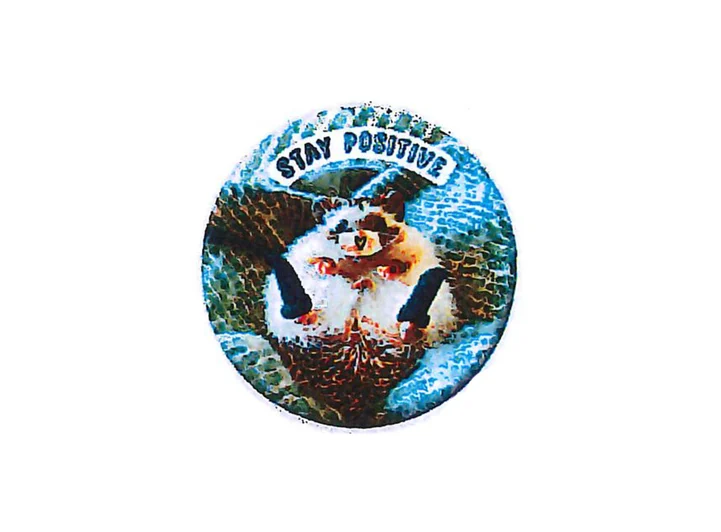 Pickmotion magnet  Stay Positive 5,6 cm 