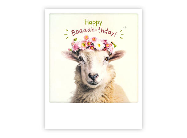 Pickmotion postkort - Happy Baaaah Pickmotion - Postkort