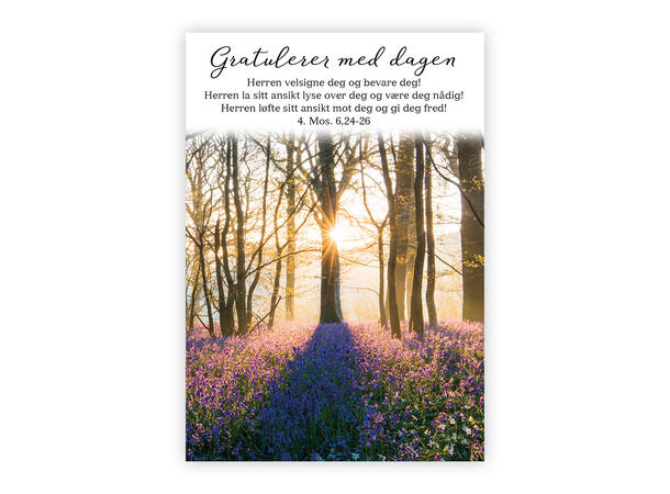 Kristent postkort - Herren velsigne deg A6 postkort 