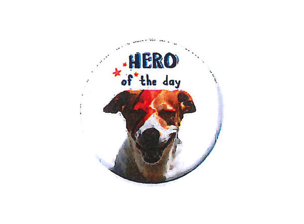 Pickmotion magnet  Hero Of The Day 5,6 cm
