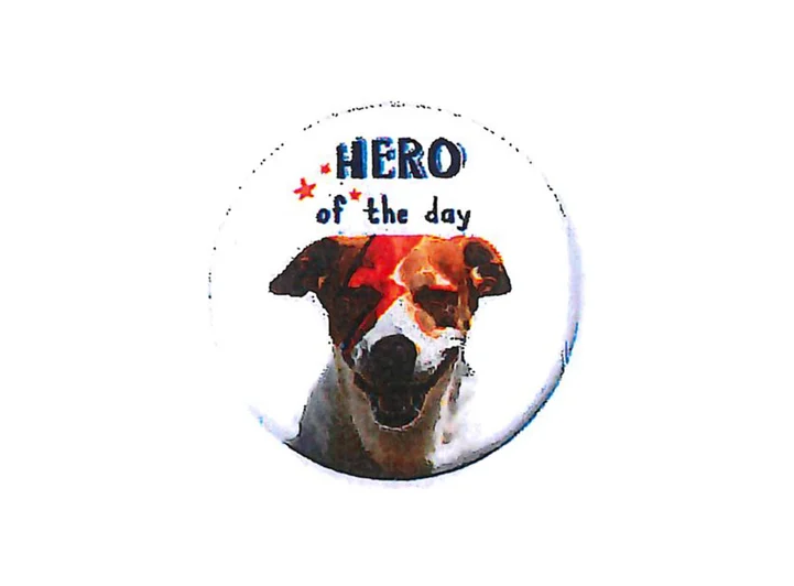 Pickmotion magnet  Hero Of The Day 5,6 cm 