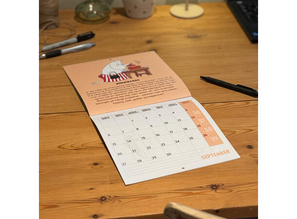 Mummi Platekalender 2027 Kalender 2027 