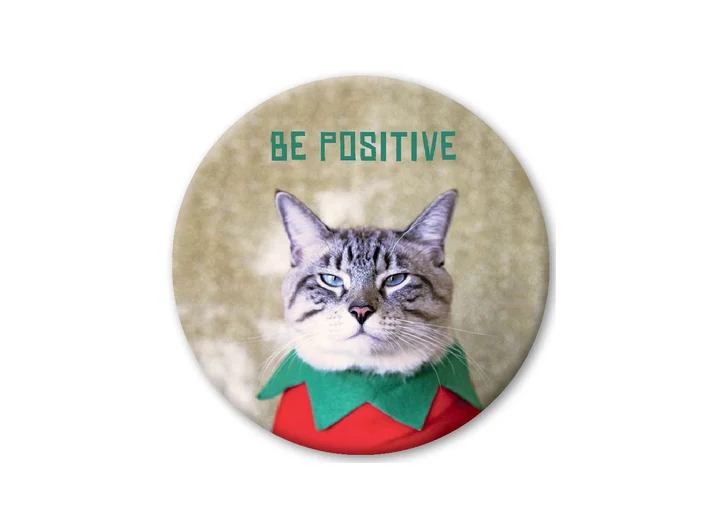 Pickmotion magnet  Be Positive 5,6 cm 