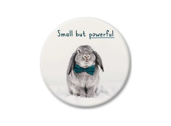 Pickmotion magnet  Small But Powerful 5,6 cm 