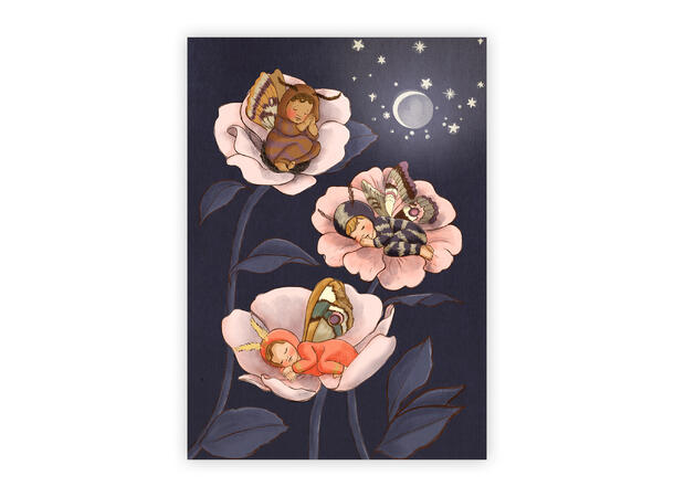 Belle & Boo - Postkort Moth babies A6 