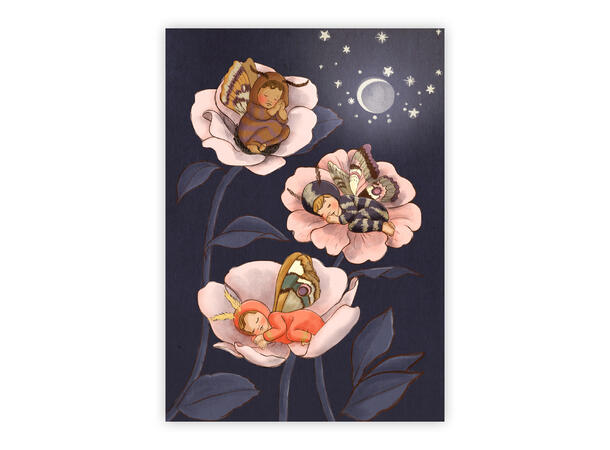 Belle & Boo - Postkort Moth babies A6