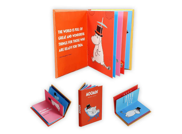 Bokmagnet - Mummipappa 