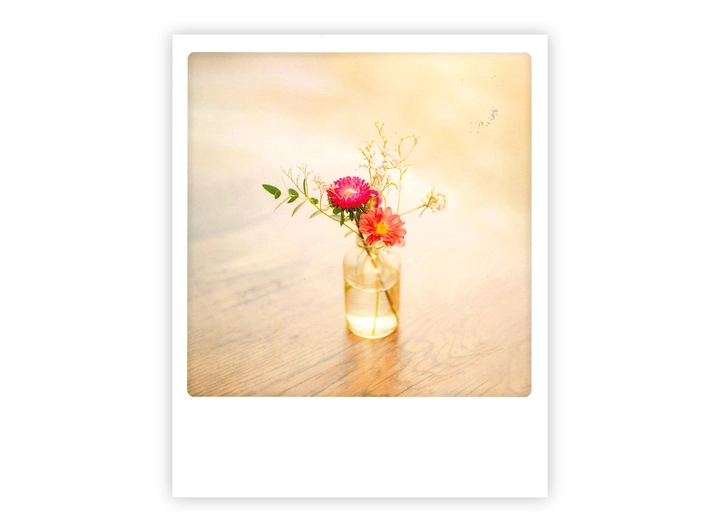Pickmotion postkort - Flower Pickmotion - Postkort 