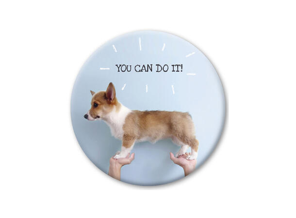 Pickmotion magnet You Can Do It 5,6 cm