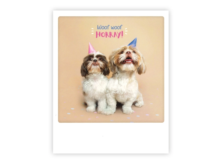 Pickmotion postkort - Woof woof Horray Pickmotion - Postkort 