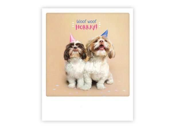 Pickmotion postkort - Woof woof Horray Pickmotion - Postkort