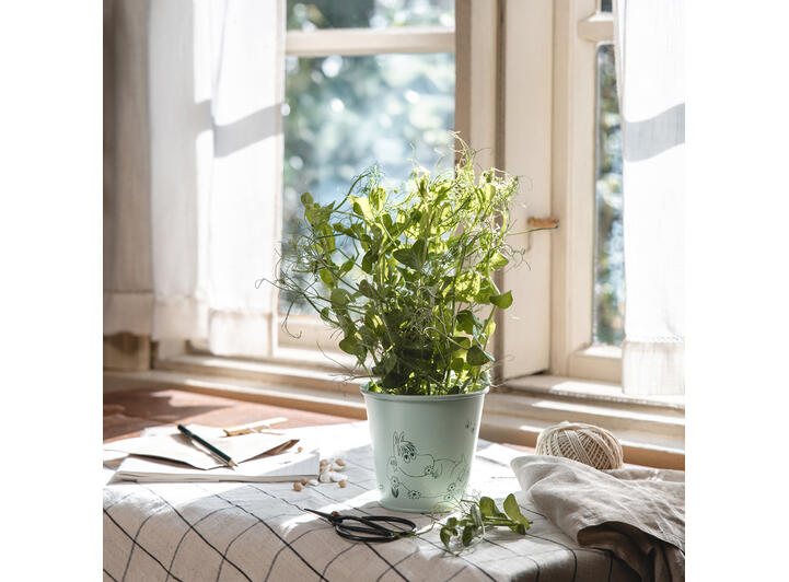 Mummi blomsterpotte - Grønn Hageting 