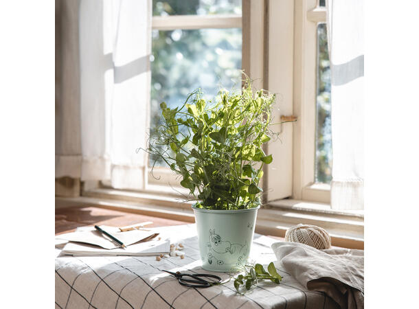 Mummi blomsterpotte - Grønn Hageting