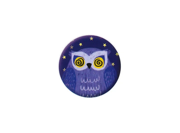 Pickmotion magnet  Owl 3,2 cm 