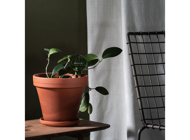 Muurla vanningskule - Grønn 15 cm