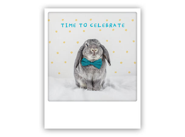 Pickmotion postkort - Celebrate bunny Pickmotion - Postkort