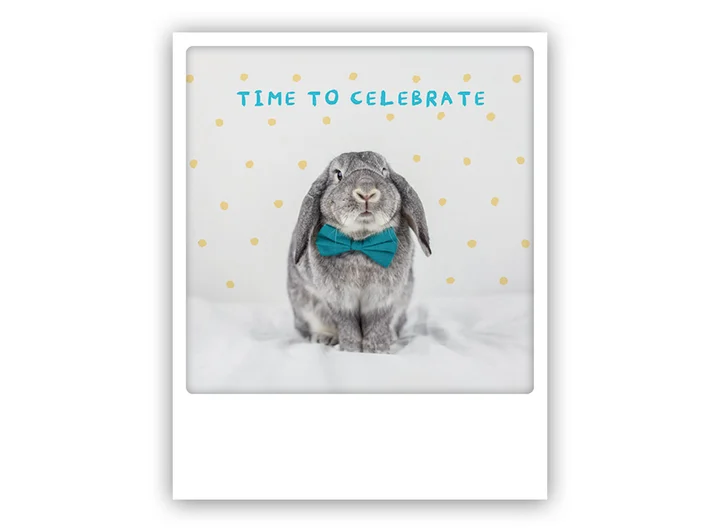 Pickmotion postkort - Celebrate bunny Pickmotion - Postkort 