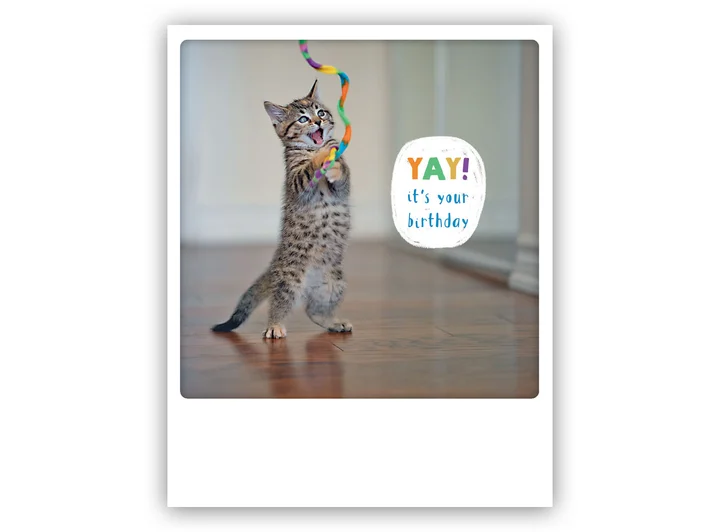 Pickmotion postkort - Your birthday Pickmotion - Postkort 