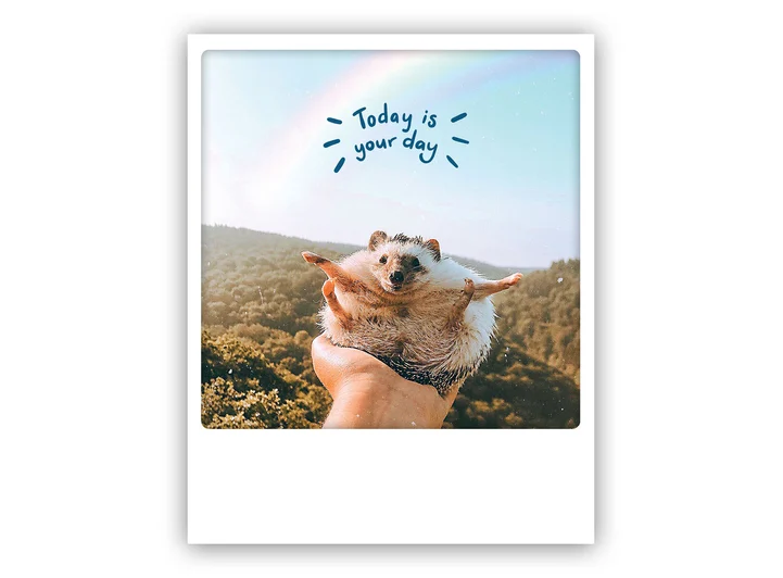 Pickmotion postkort - Your day Pickmotion - Postkort 