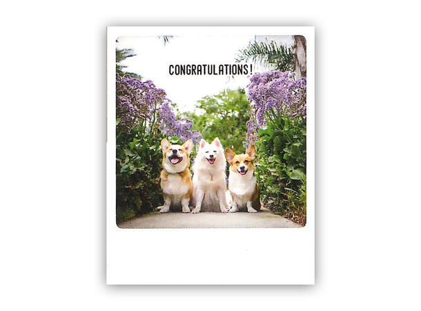 Pickmotion postkort - Congratulations Pickmotion - Postkort