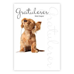 Dobbelt gratulasjonskort Gratulerer A6 dobbelt kort
