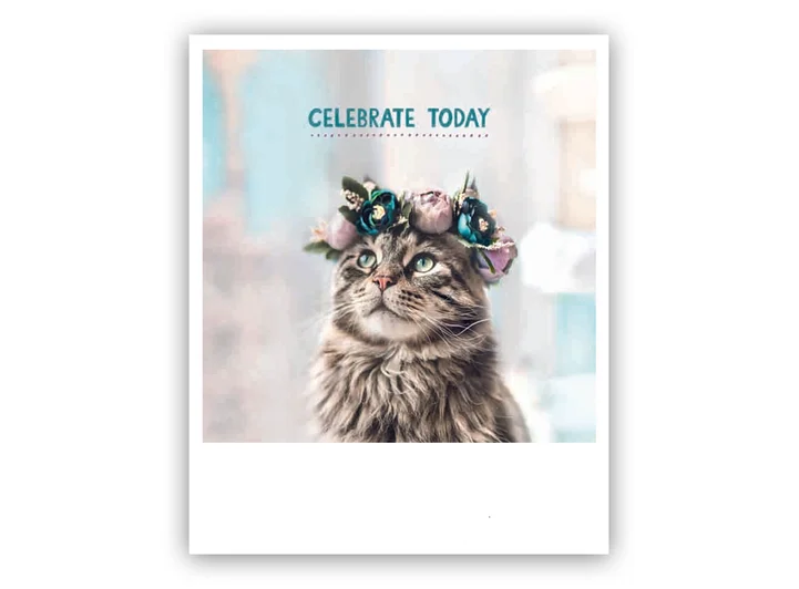 Pickmotion postkort - Celebrate today Pickmotion - Postkort 