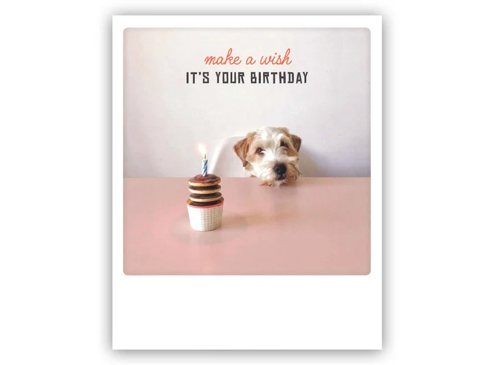 Pickmotion postkort - Your birthday Pickmotion - Postkort 