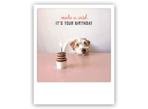Pickmotion postkort - Your birthday Pickmotion - Postkort