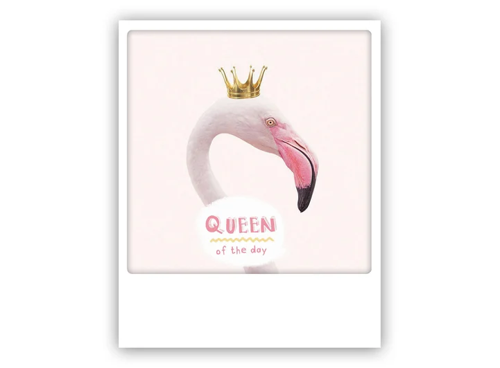 Pickmotion postkort - Queen of the day Pickmotion - Postkort 