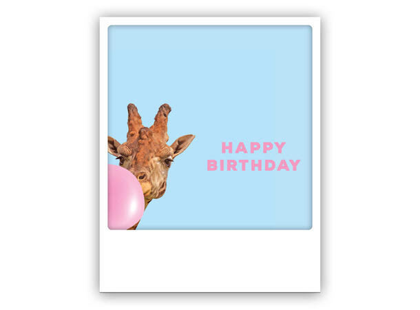 Pickmotion postkort - Birthday giraffe Pickmotion - Postkort