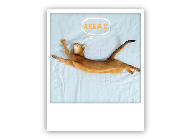 Pickmotion postkort - Relax Pickmotion - Postkort