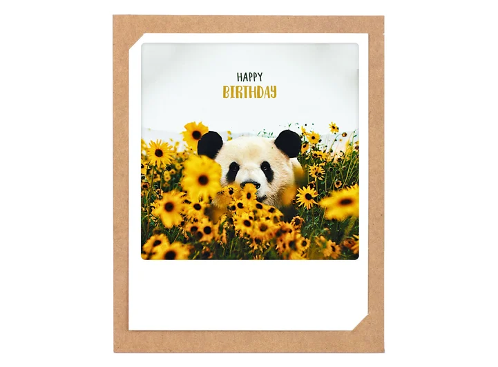 Pickmotion doble kort - Happy birthday Pickmotion - Doble kort 