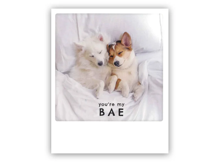 Pickmotion postkort - You're my bae Pickmotion - Postkort 