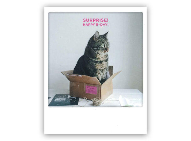 Pickmotion postkort - Surprise Pickmotion - Postkort