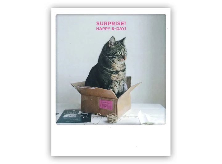 Pickmotion postkort - Surprise Pickmotion - Postkort 