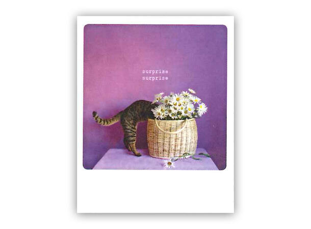 Pickmotion postkort - Surprise surprise Pickmotion - Postkort