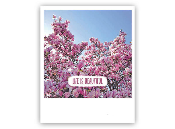 Pickmotion postkort - Life is beautiful Pickmotion - Postkort