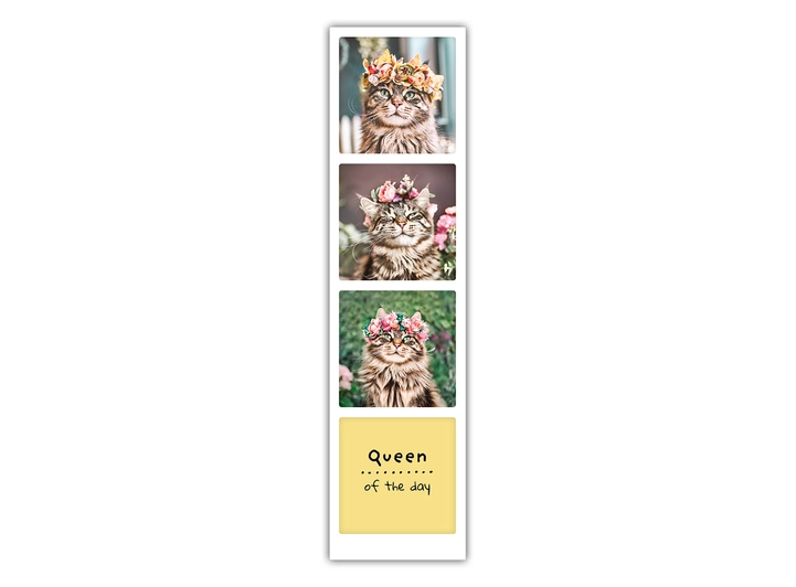 Pickmotion Bokmerke - Queen of the day 20 x 5 cm 