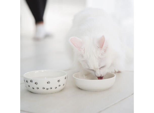 Vannskål katt i keramikk Martinex home