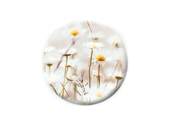 Pickmotion magnet Blomster 5,6 cm 