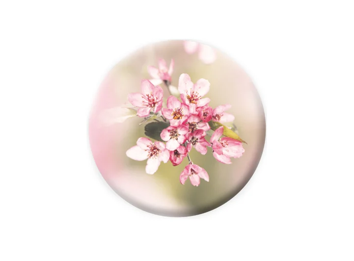 Pickmotion magnet Blomst 5,6 cm 