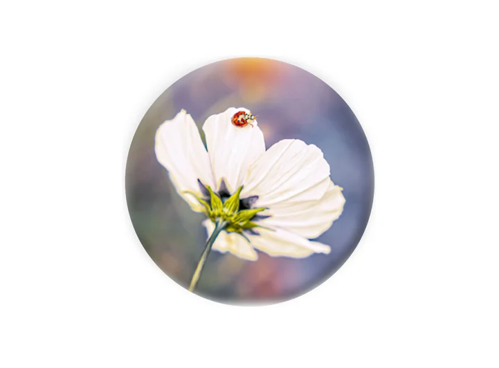 Pickmotion magnet Blomst 5,6 cm 