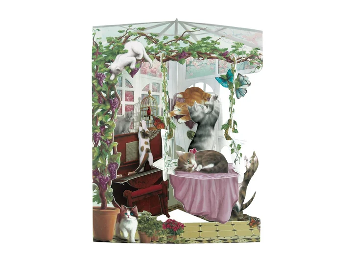Swing Cards Katter A5 Swing Cards 