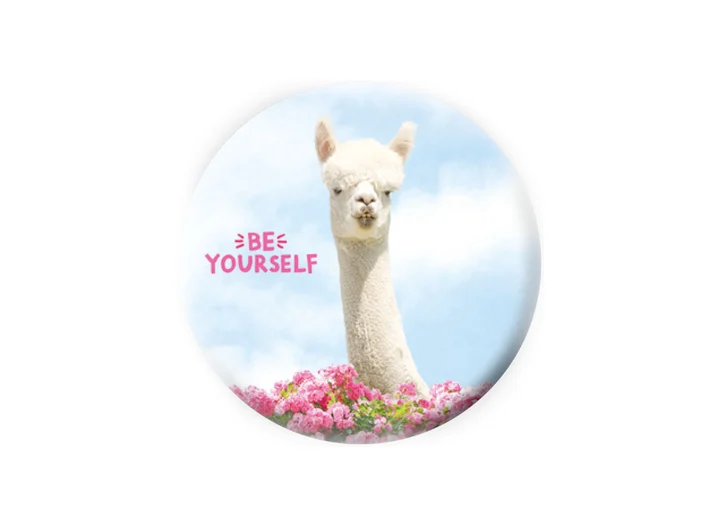 Pickmotion magnet Be yourself 5,6 cm 