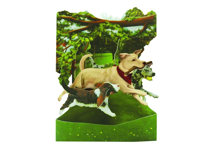 Swing Cards Hunder i Parken A5 Swing Cards 