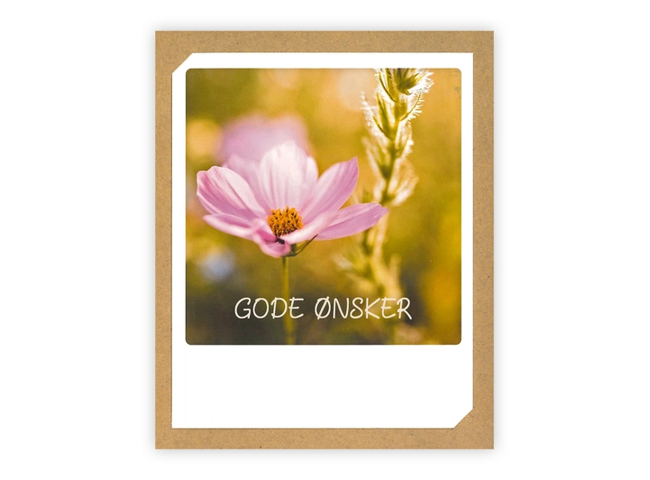 Pickmotion doble kort - Gode ønsker Pickmotion - Doble kort 