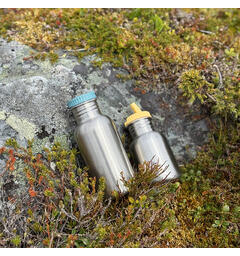 Blafre stålflaske - Blågrønn 500 ml