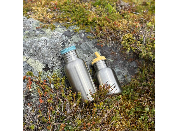 Blafre stålflaske - Blågrønn 500 ml 